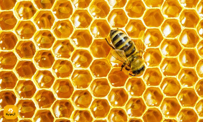 شغل زنبوداری یا پرورش زنبور عسل - عسل طبیعی