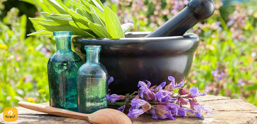 معرفی رشته گیاهان دارویی و معطر